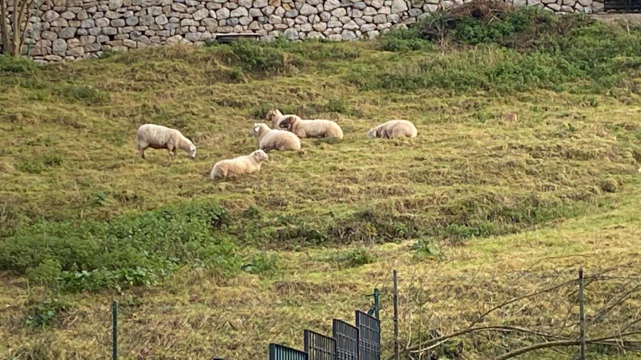La Casa De Fito Cerca Del Centro De Comillas